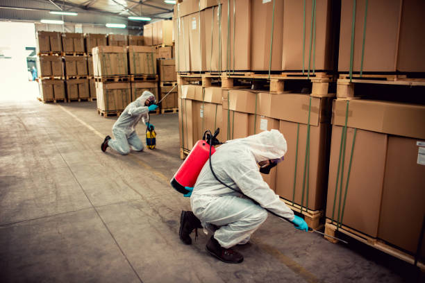  Bridgeview, IL Pest Control Pros