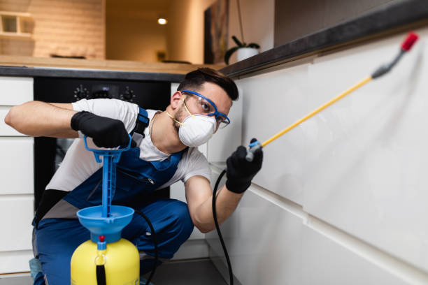 Best Pest Inspection Near Me  in Bridgeview, IL