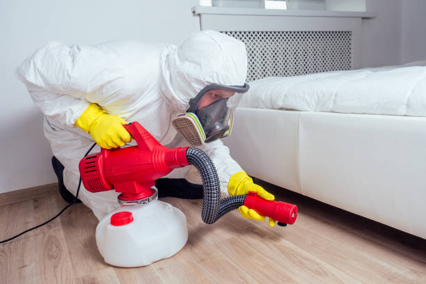 Best Pest Inspection Near Me  in Bridgeview, IL