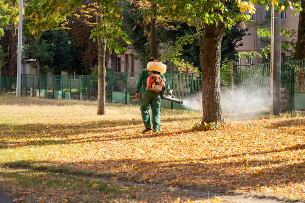 Professional Pest Control in Bridgeview, IL